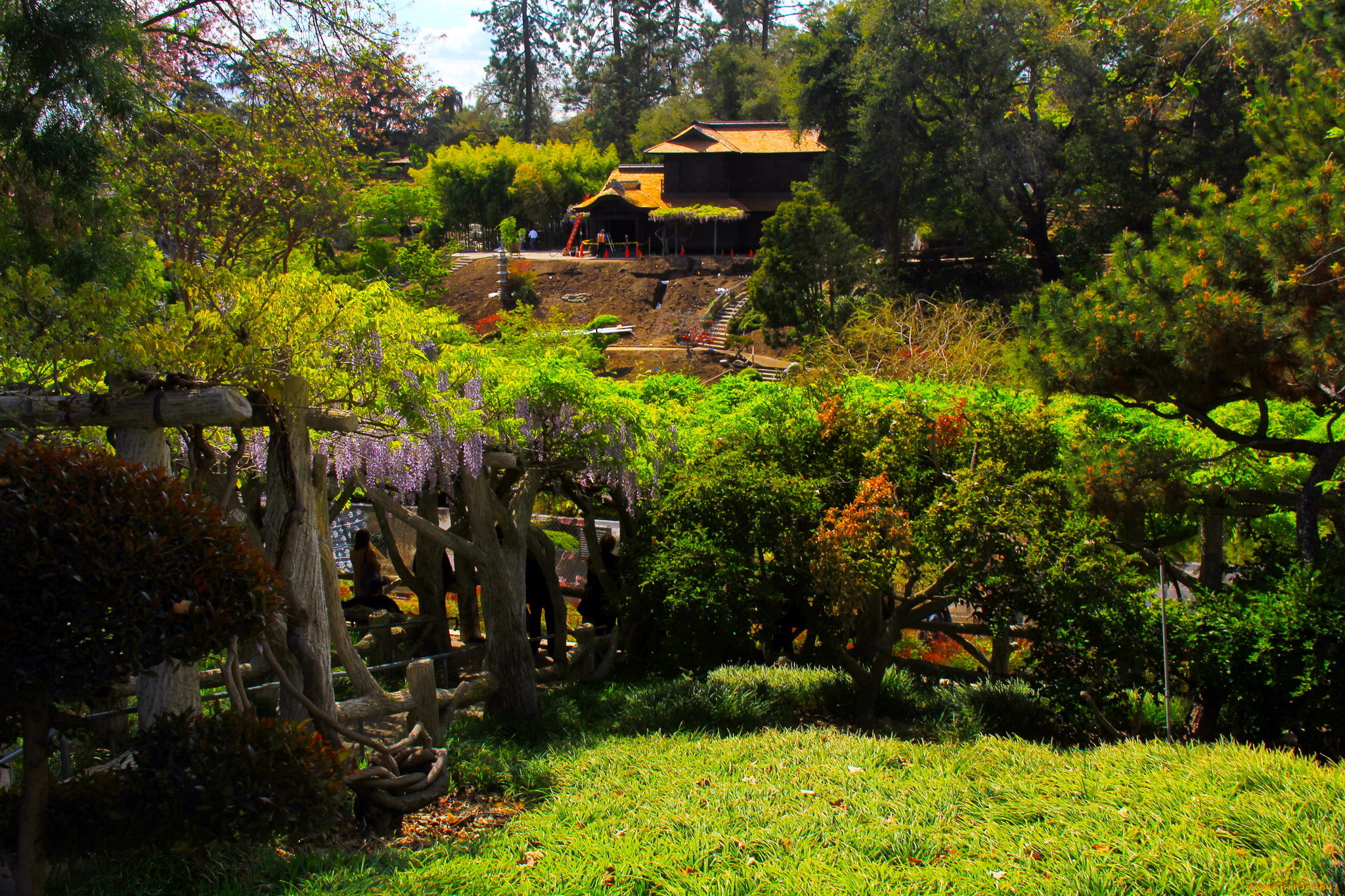 botanical, garden, san, marino, california, , , 